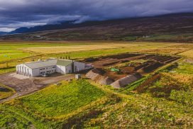 Nýr framkvæmdarstjóri ráðinn