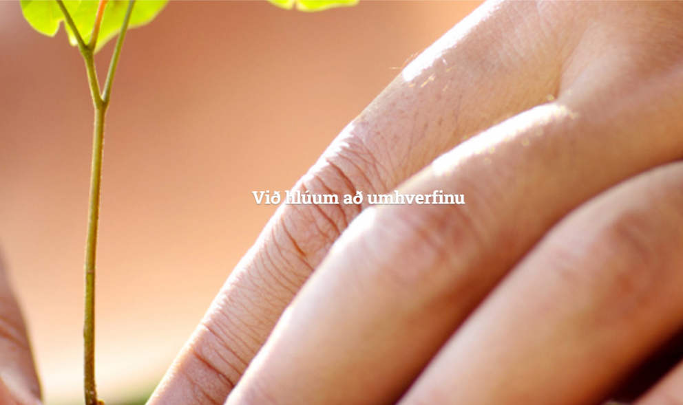 Molta til trjáræktar á sandi