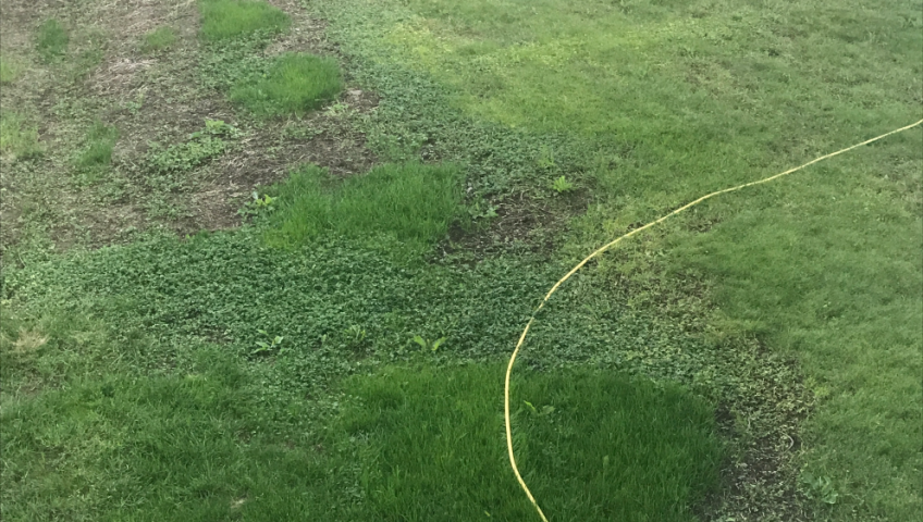 Frá notanda kraftmoltu