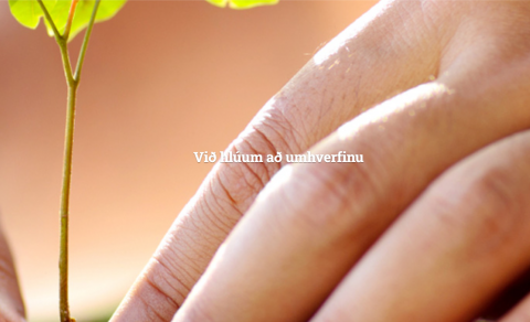 Molta til trjáræktar á sandi