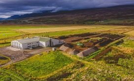 Langþráður áfangi