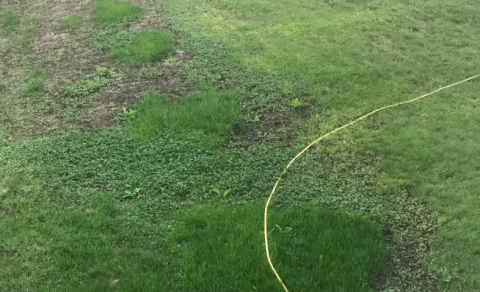 Frá notanda kraftmoltu